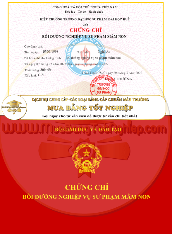 Chứng chỉ bồi dưỡng nghiệp vụ sư phạm mầm non cho khách hàng cần tham khảo