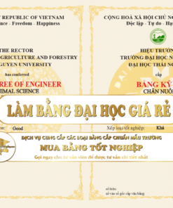 làm bằng đại học giá rẻ, co nhanh trong ngày, nhận bằng thanh toán