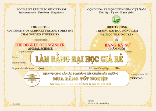 làm bằng đại học giá rẻ, co nhanh trong ngày, nhận bằng thanh toán