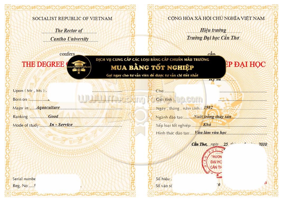 Mẫu bằng Đại học Cần Thơ năm 2010 đả thay đổi rất dễ nhận biết.