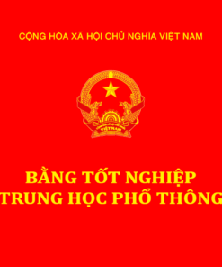 Làm Bằng cấp 3 Thpt