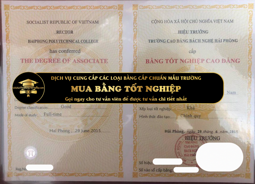 Mua bằng cao đẳng bách nghệ Hải Phòng 2015