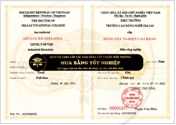 Cần mua bằng cao đẳng nghề Gia Lai năm 2022