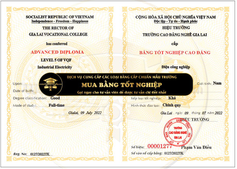 Cần mua bằng cao đẳng nghề Gia Lai năm 2022