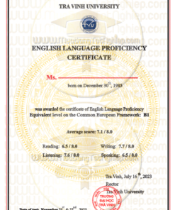 mẫu bằng chứng chỉ ngoại ngữ đại học Trà Vinh 2022