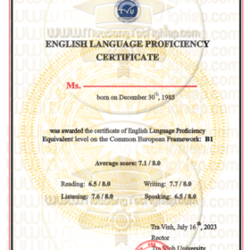 mẫu bằng chứng chỉ ngoại ngữ đại học Trà Vinh 2022