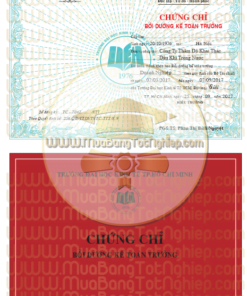 Chứng chỉ kế toán trưởng cho người đang đi làm