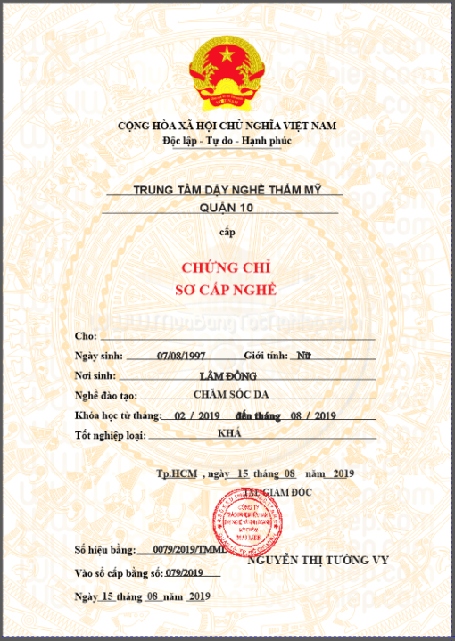 Chứng chỉ sơ cấp nghề chăm sóc da, trong các Spa