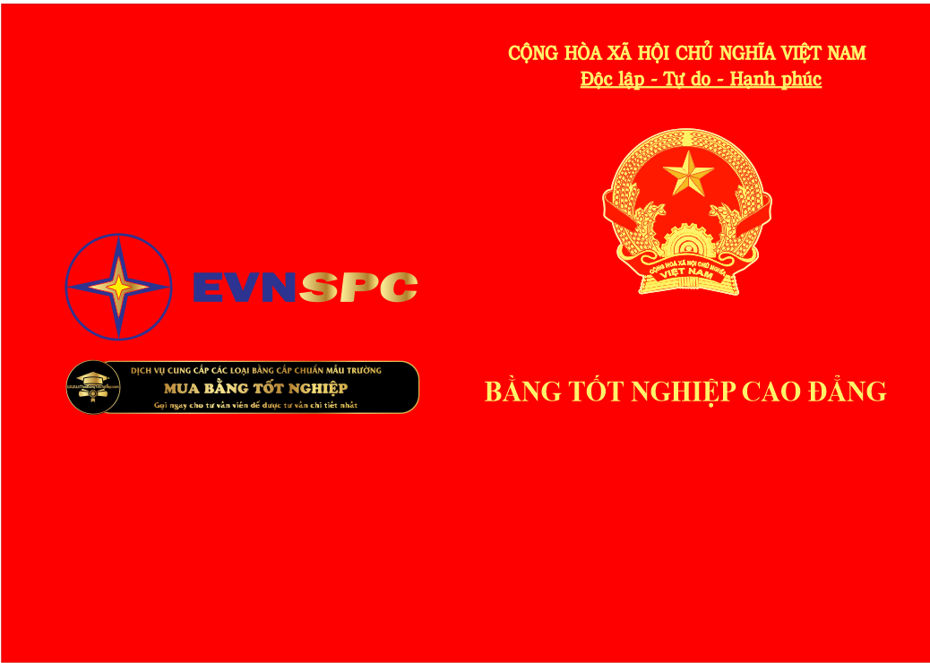 Bìa bằng tốt nghiệp cao đẳng điện lực TpHCM, tham khảo.