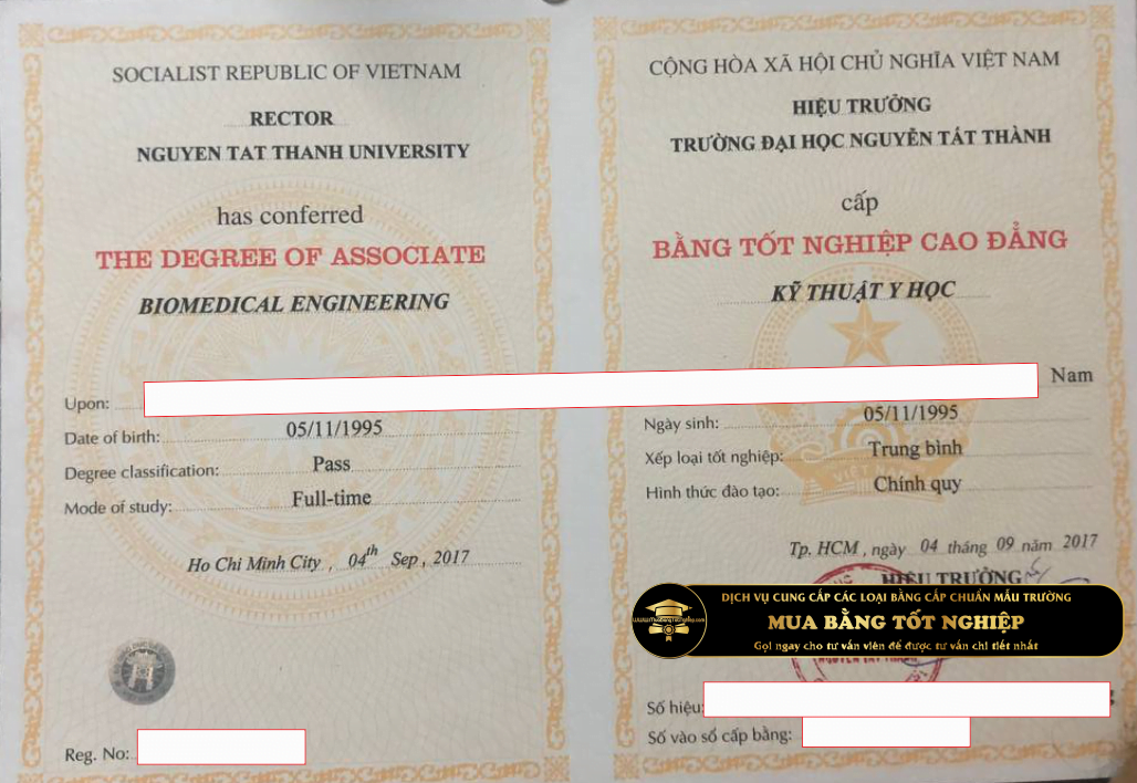 Bằng Cao đẳng trưởng ĐH Nguyễn Tất Thành, mẫu chuẩn trường cấp cho sinh viên
