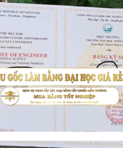 Bằng Đại Học Nông Lâm - Đại Học Thái Nguyên Giá Rẻ Uy Tín