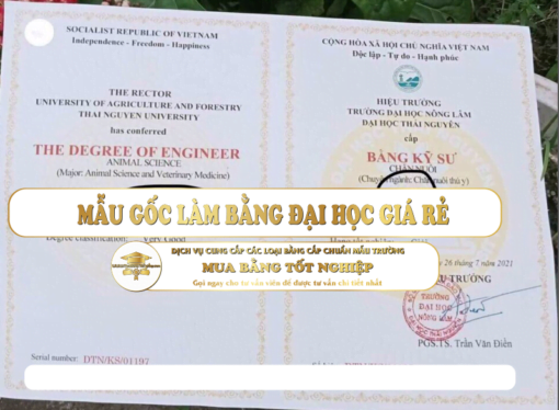 Bằng Đại Học Nông Lâm - Đại Học Thái Nguyên Giá Rẻ Uy Tín