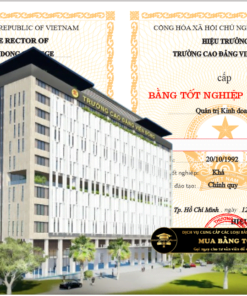 Cần làm bằng Trường Cao đẳng Viễn Đông, Dịch vụ chúng tôi cung cấp văn bằng chuẩn mẫu từ trường.
