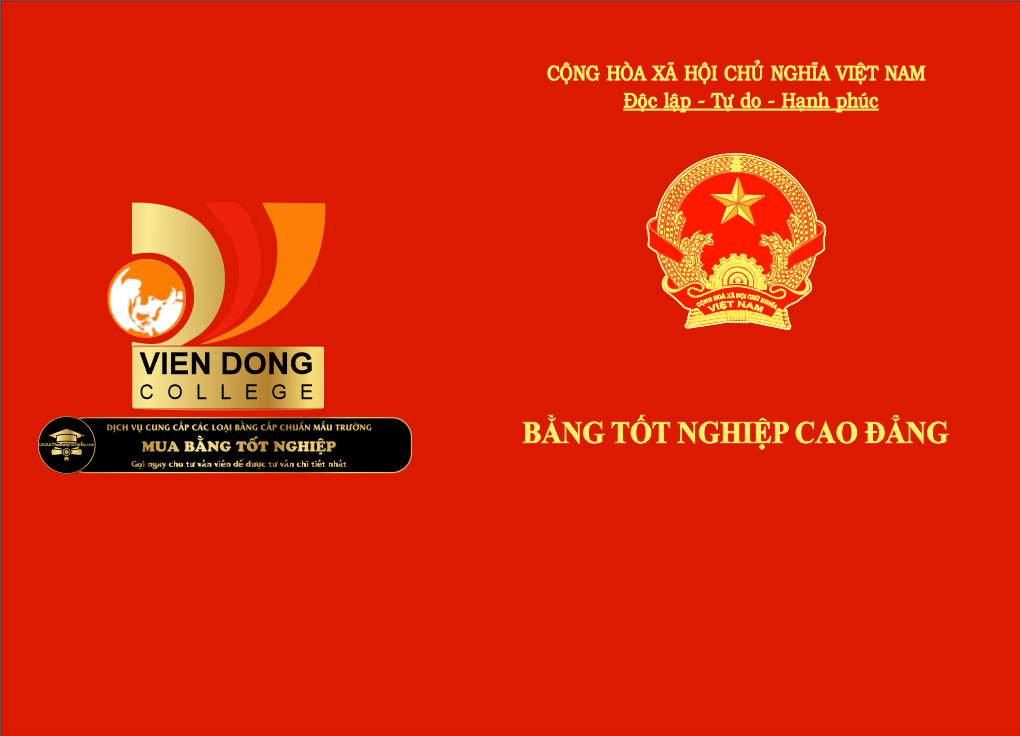 Mẫu bằng Cao đẳng Viễn Đông, các bạn có thể tham khảo.