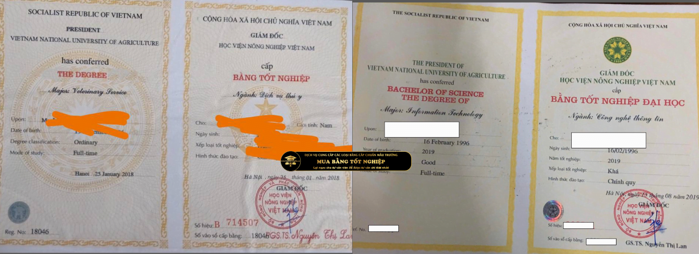 thay đổi mẫu bằng của Học viện Nông nghiệp Việt Nam trong 2 năm 2018 và 2019, khác nhau hoàn toàn